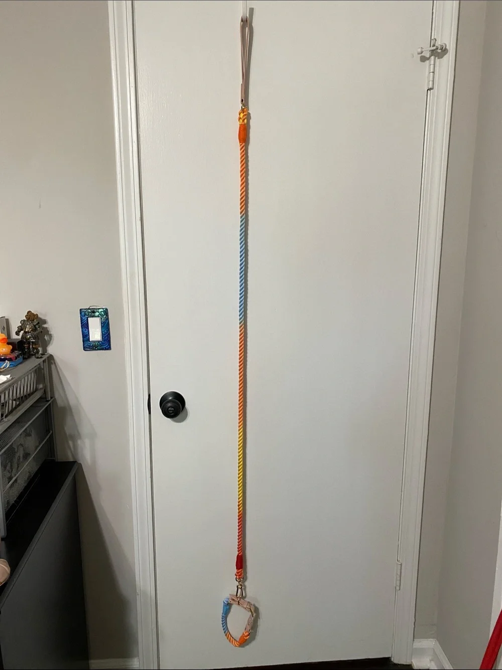 Rainbow Gradient Dog Leash with Pink Handle